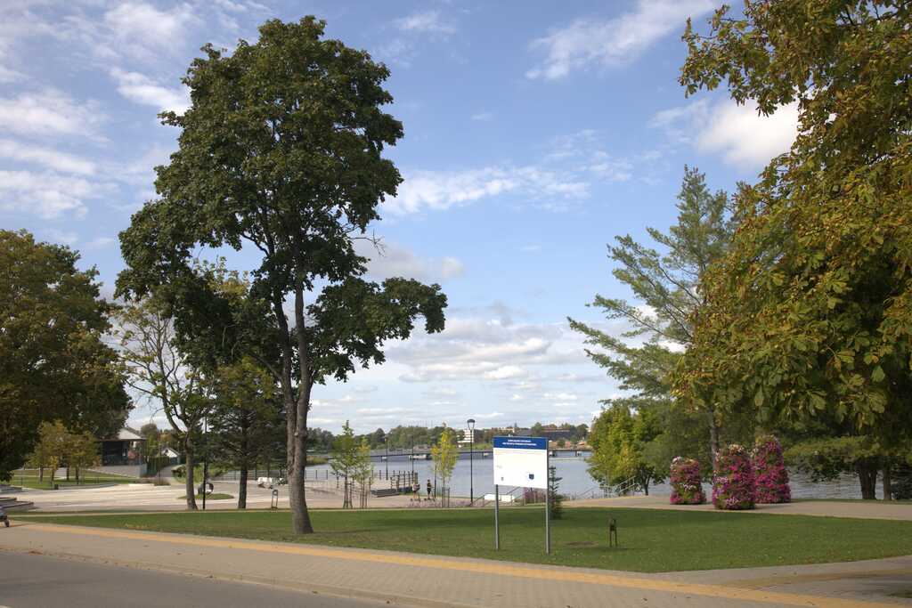 Širvintų tvenkinio pakrantė