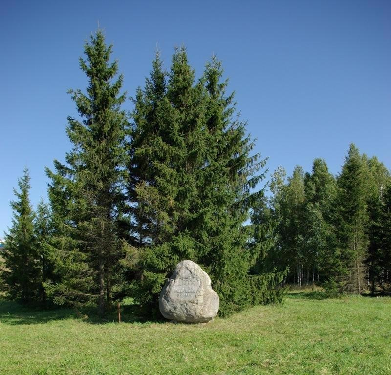 Baltijos kelio širvintiškių ženklo vieta