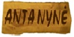 Antanynė