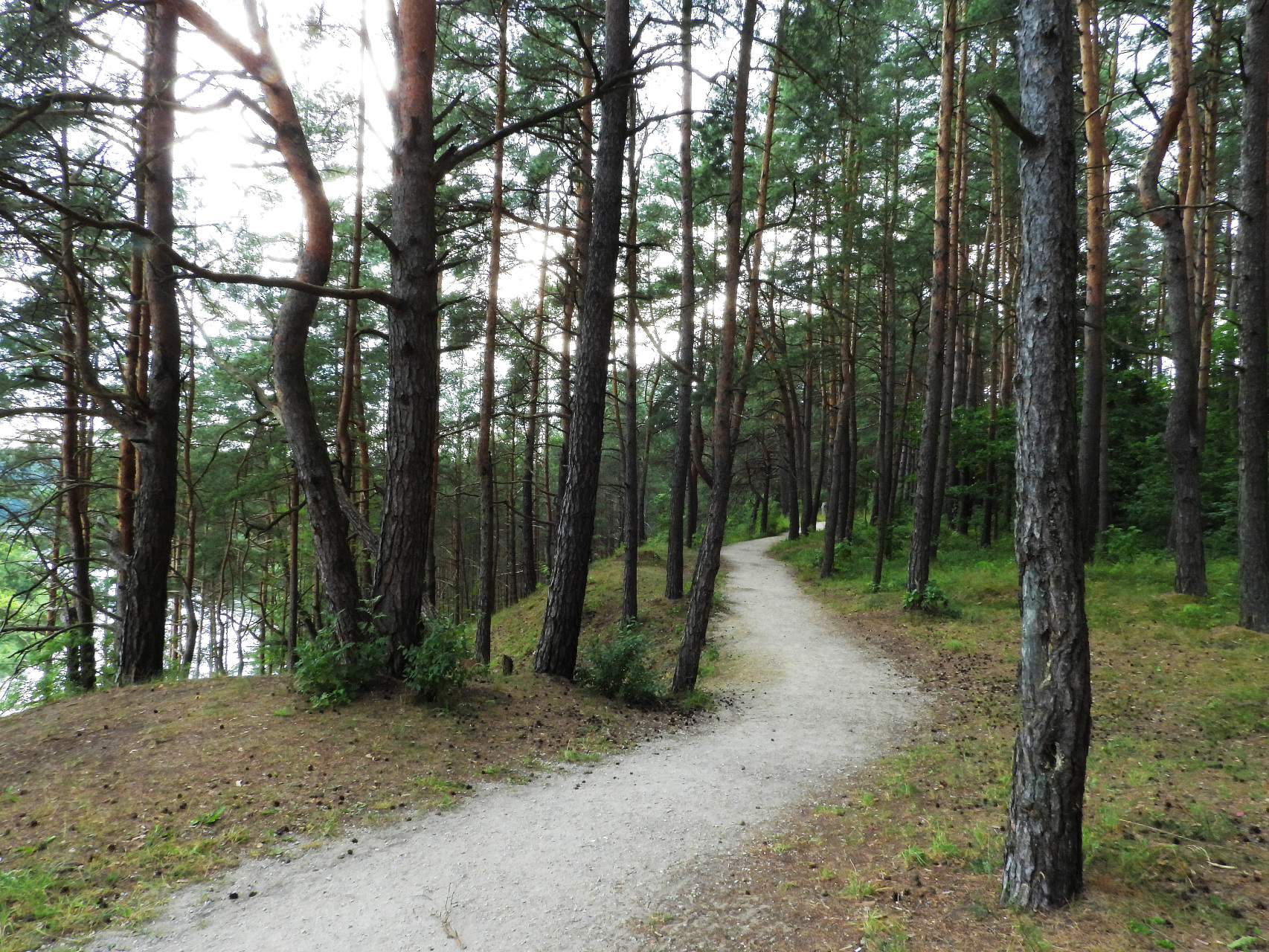 Kernavės turistinis-poilsinis takas ,,Ateik, žmogau, tyla priglausiu” 2,6 km. 1.5 val