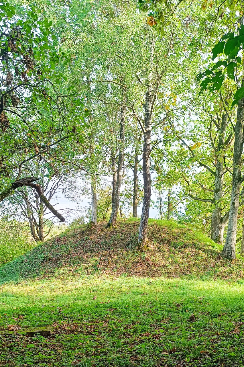 Pasodninkų piliakalnis (vadinamas Batarėja)