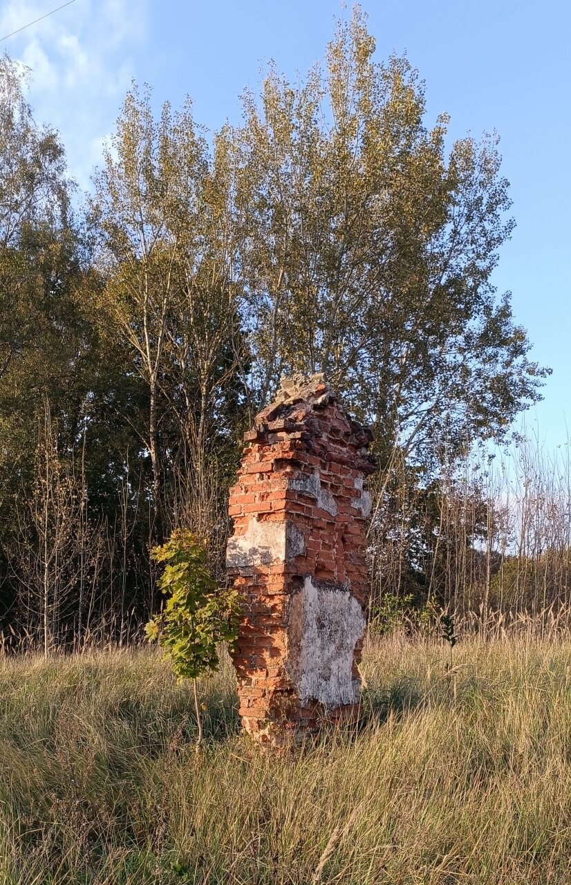 Turko kapas